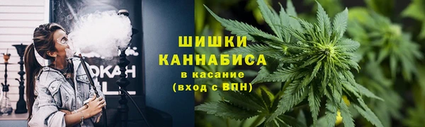 гидра Алзамай