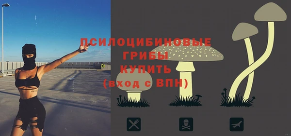 гидра Алзамай