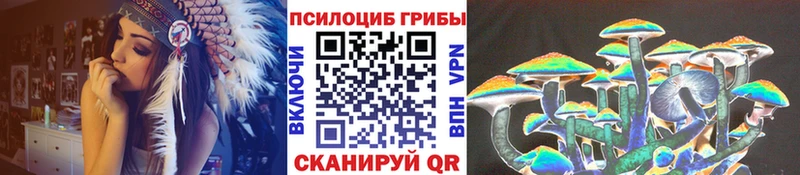 Галлюциногенные грибы мицелий  Суровикино 